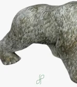 Orso Polare - immagine 3