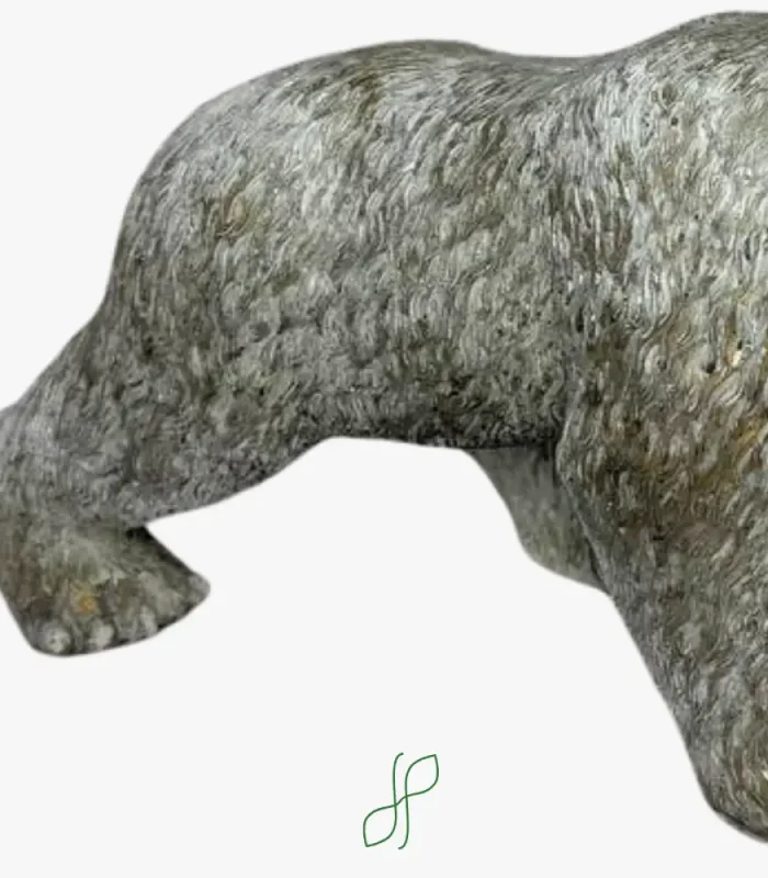 Orso Polare - immagine 3