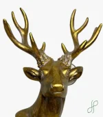 Mezzo Busto Cervo - immagine 2