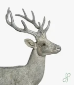 Cervo Bianco - immagine 2