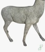 Cervo Bianco - immagine 3