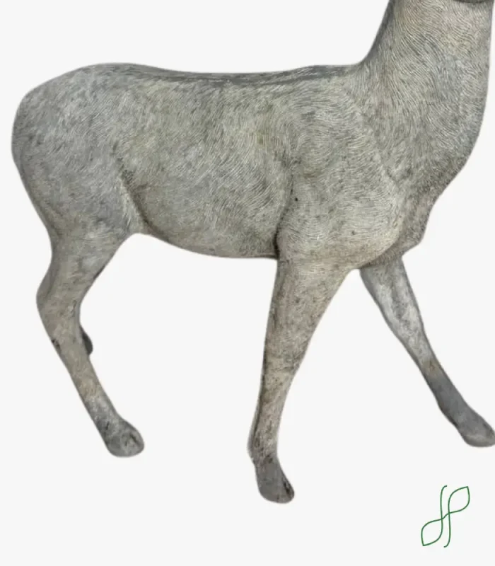 Cervo Bianco - immagine 3