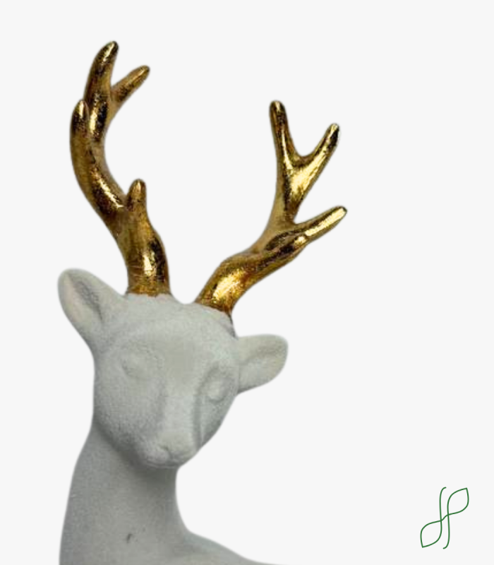 Cervo in Velluto - immagine 2