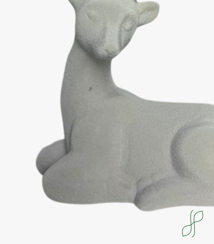 Cervo in Velluto - immagine 3