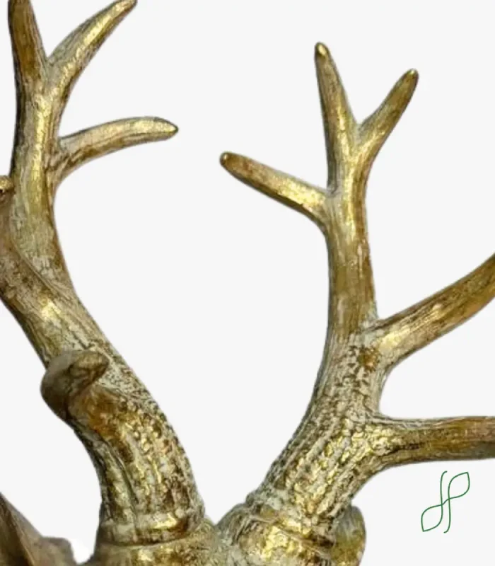 Testa Cervo Oro - immagine 3